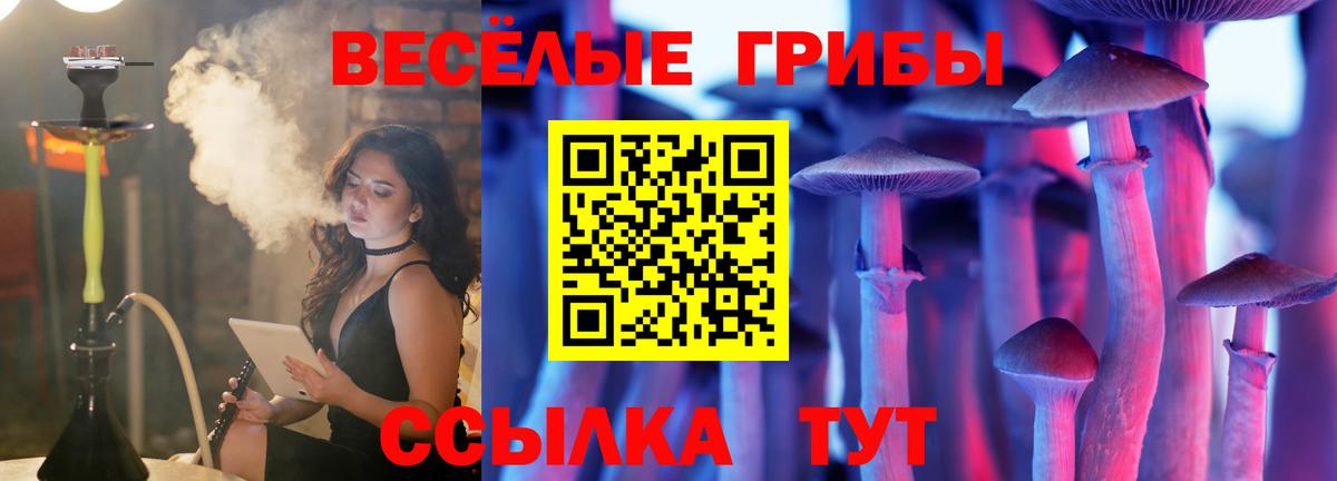 Галлюциногенные грибы мицелий  Вход с VPN  Корсаков  Галлюциногенные грибы прущие грибы 